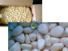 Garlic Clove Separator and Peeler